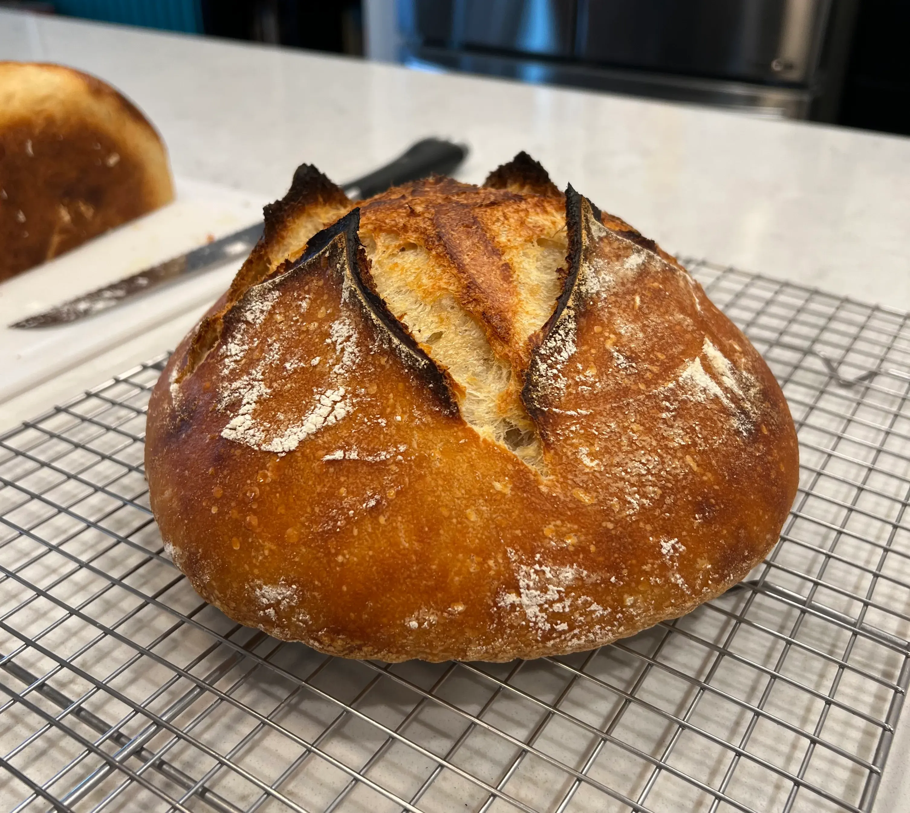 Picture of Boule